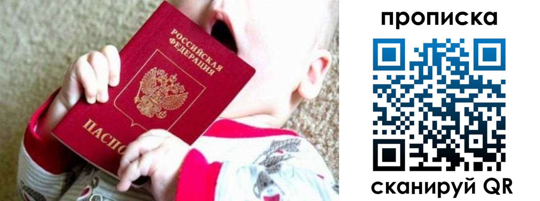 прописка законно в Светлом